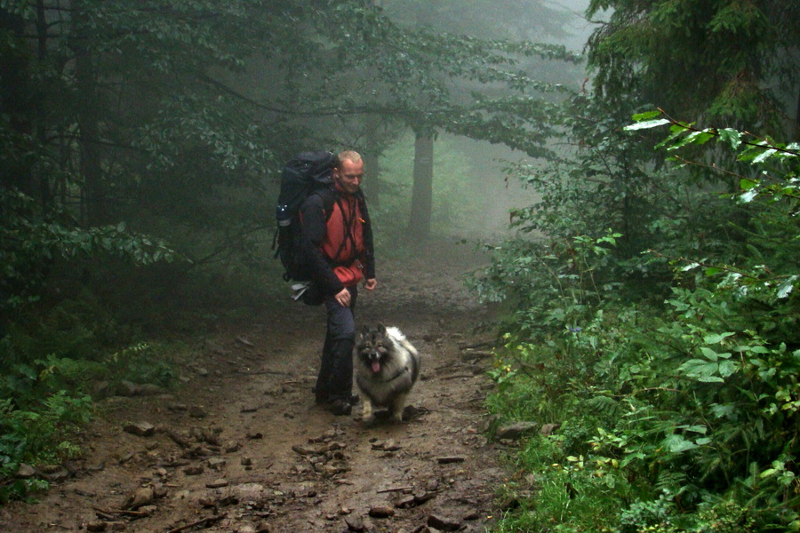 zostup z kóty Beskid Kryzowski