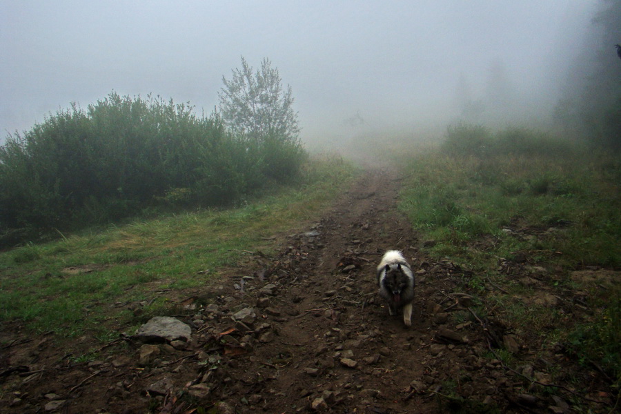 zostup z kóty Beskid Kryzowski