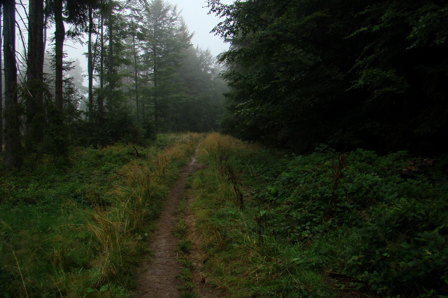 pokračujeme na Modrálovú