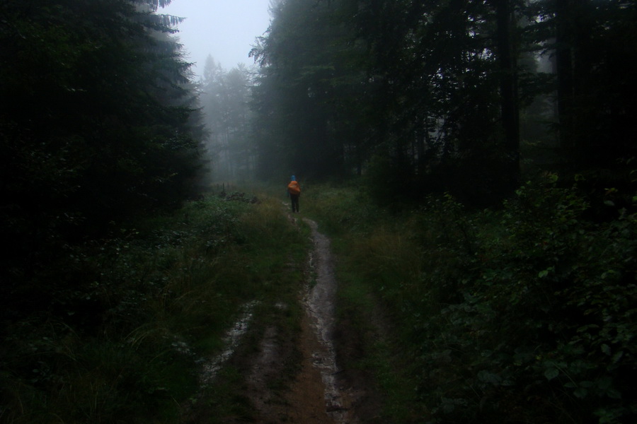 zostup z Modrálovej na Jalovecké sedlo