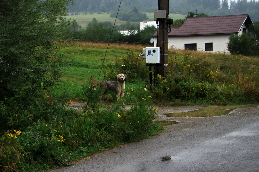 Hrebeňovka Oravských Beskýd - 4 deň (Oravské Beskydy)