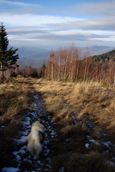 Kloptaň (Volovské vrchy)