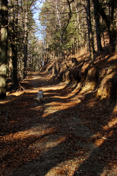 Kloptaň (Volovské vrchy)