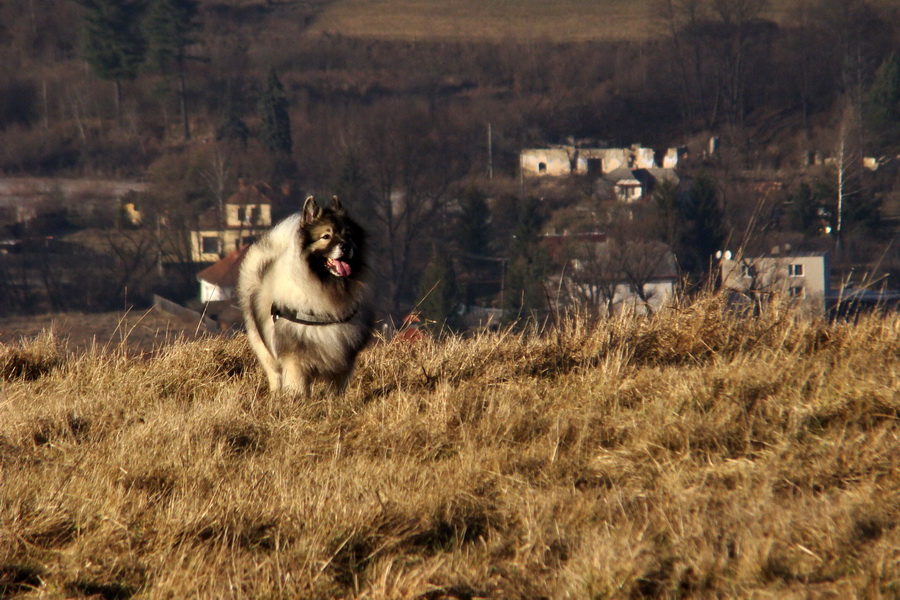 Kloptaň (Volovské vrchy)