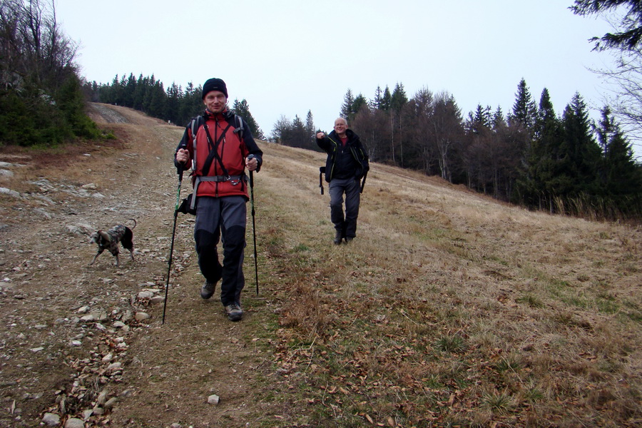 testovanie trekkingových palíc značky Zajo pri zostupe