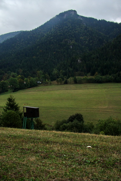 poľovnícky posed, v pozadí Malý Rozsutec