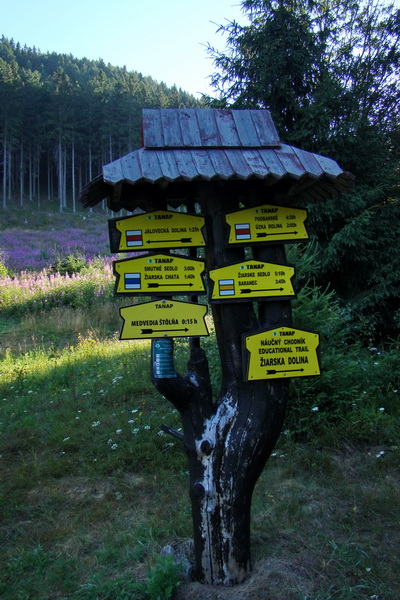 hríbik pri autobusovej zastávke v Žiarskej doline