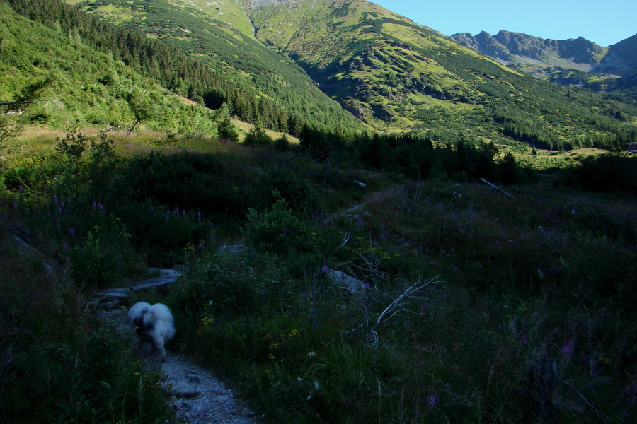 v týchto miestach začínal 1,5 km odtrh "storočnej" lavíny v roku 2009