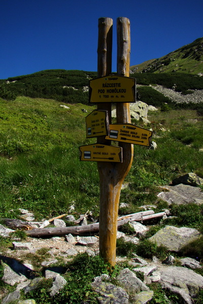 rázcestie pod Homôľkou, smer na Smutné sedlo, alebo Žiarske sedlo