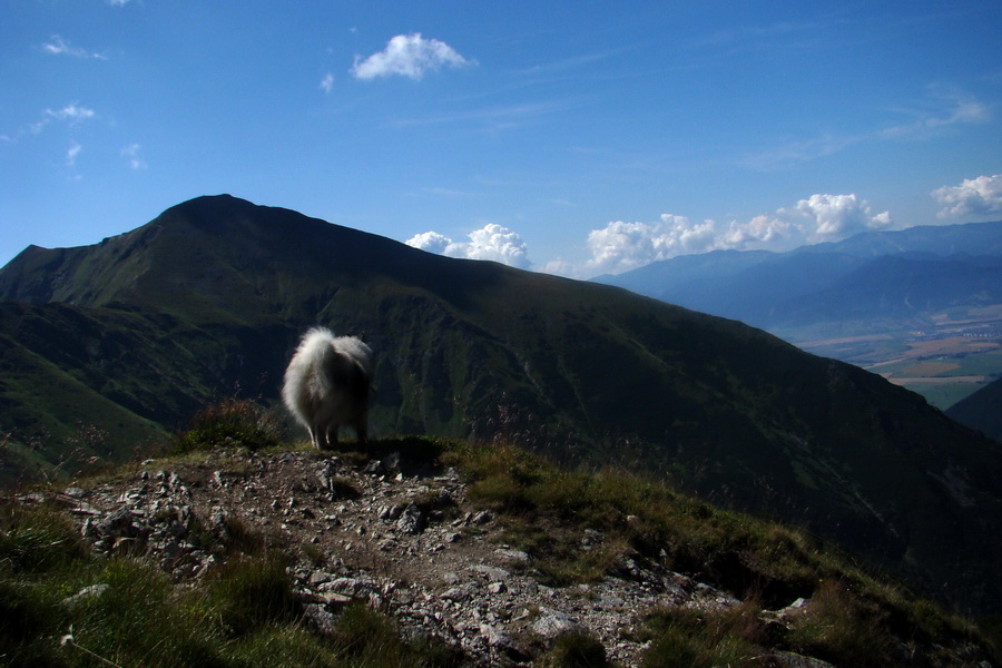 výhľad na Baranec