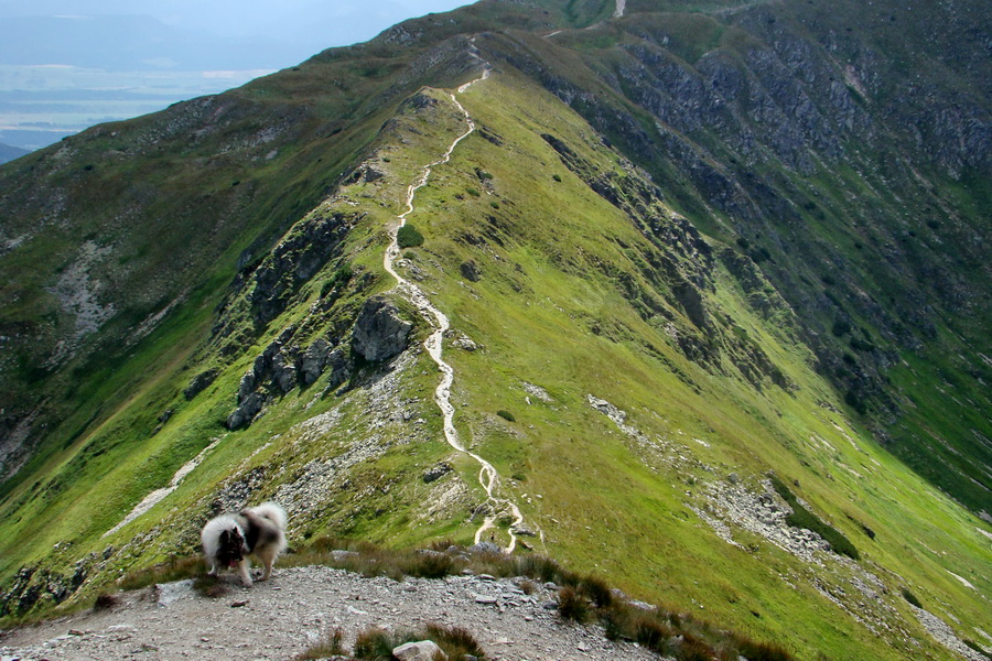 zostup do Žiarskeho sedla