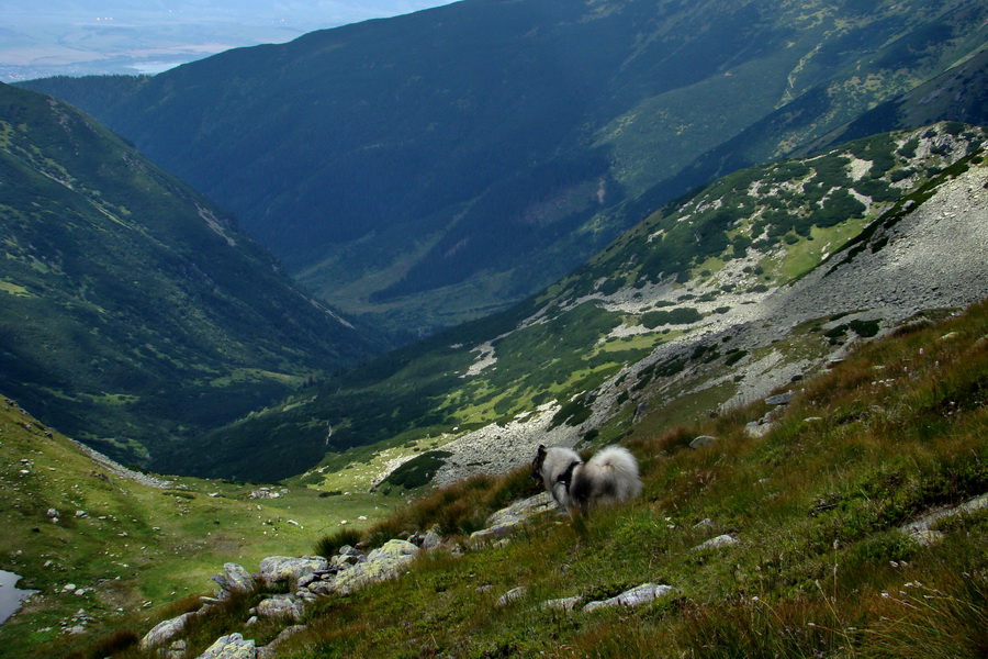 zostup do Žiarskeho sedla, výhľad na Žiarsku dolinu