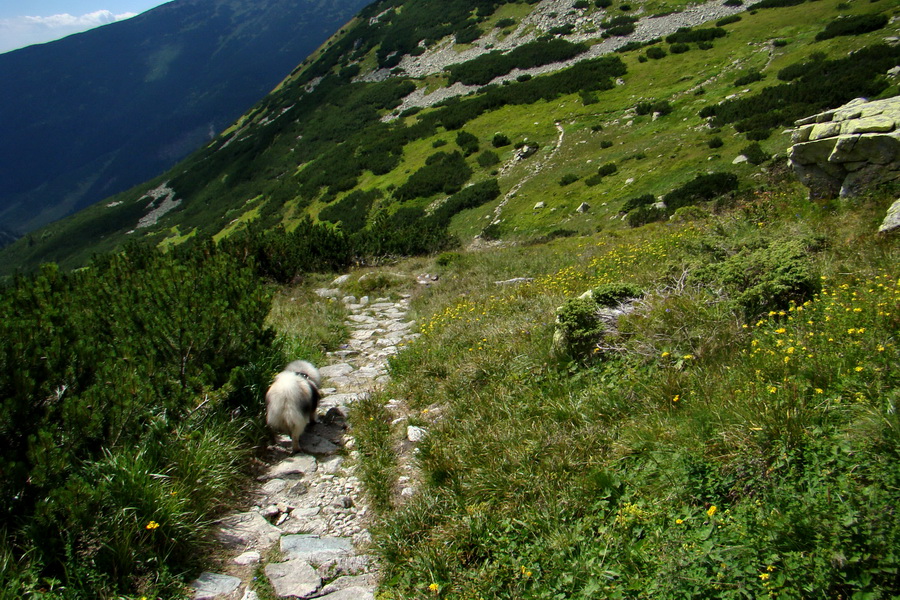 zostup zo Žiarskeho sedla