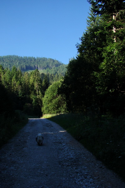 Pod Muráňom, sedlo Čertova hlava z Novoveskej Huty (Volovské vrchy)