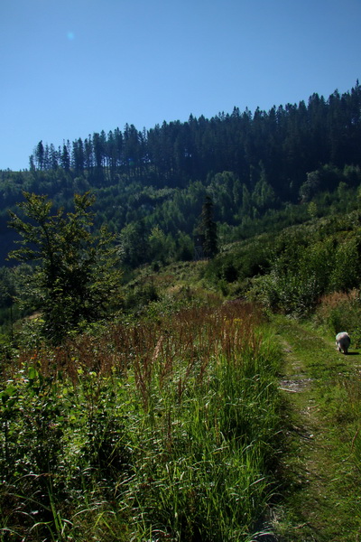 Pod Muráňom, sedlo Čertova hlava z Novoveskej Huty (Volovské vrchy)