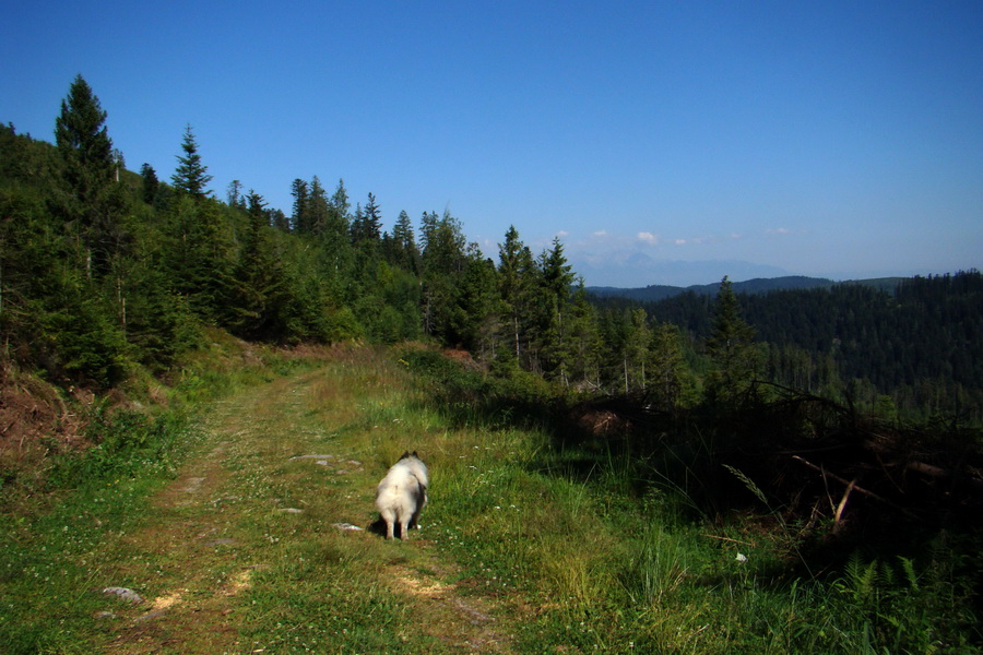 Pod Muráňom, sedlo Čertova hlava z Novoveskej Huty (Volovské vrchy)