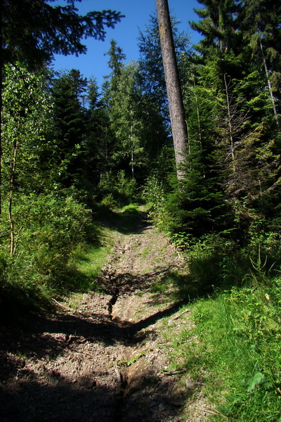 Pod Muráňom, sedlo Čertova hlava z Novoveskej Huty (Volovské vrchy)