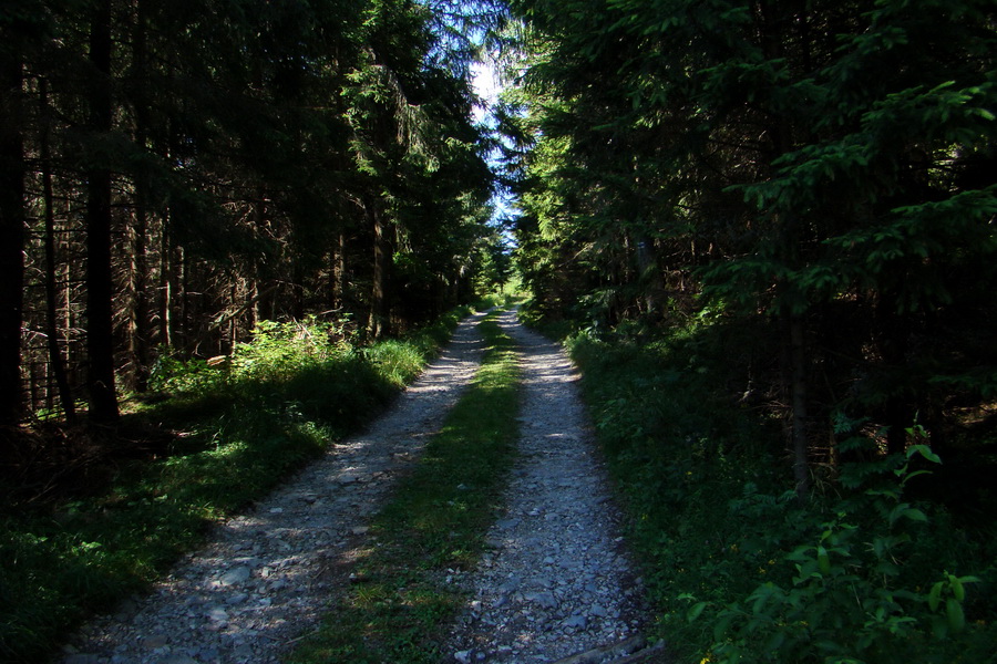 Pod Muráňom, sedlo Čertova hlava z Novoveskej Huty (Volovské vrchy)