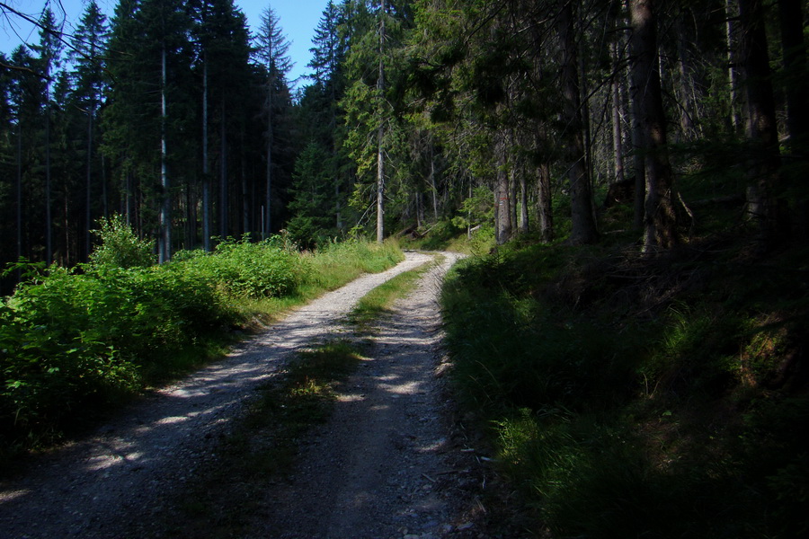 Pod Muráňom, sedlo Čertova hlava z Novoveskej Huty (Volovské vrchy)