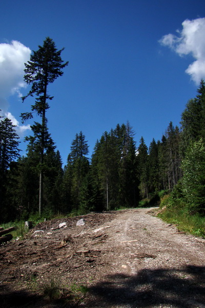 Pod Muráňom, sedlo Čertova hlava z Novoveskej Huty (Volovské vrchy)