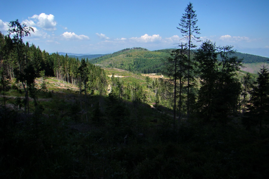 Pod Muráňom, sedlo Čertova hlava z Novoveskej Huty (Volovské vrchy)