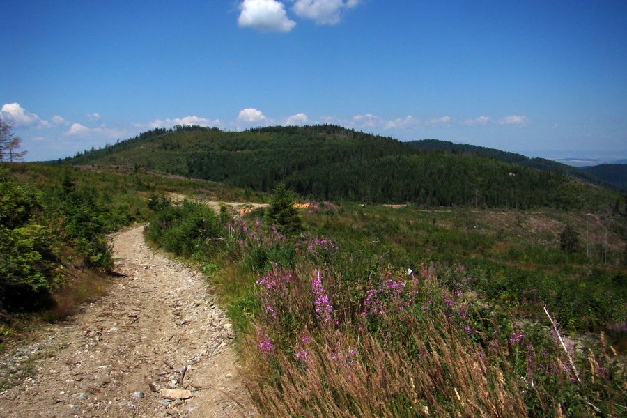 Pod Muráňom, sedlo Čertova hlava z Novoveskej Huty (Volovské vrchy)