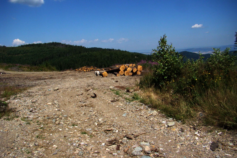 Pod Muráňom, sedlo Čertova hlava z Novoveskej Huty (Volovské vrchy)