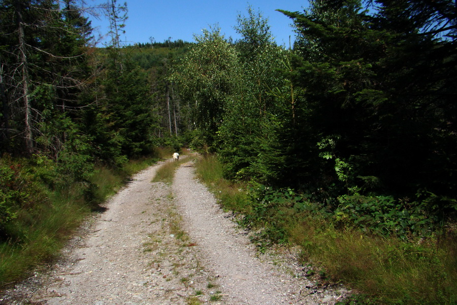 Pod Muráňom, sedlo Čertova hlava z Novoveskej Huty (Volovské vrchy)