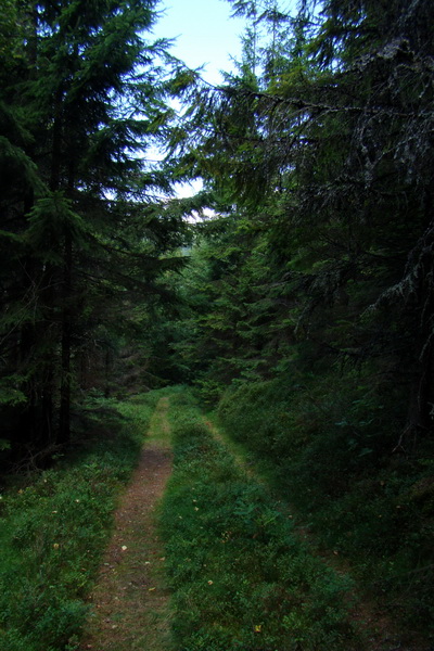 Pod Muráňom, sedlo Čertova hlava z Novoveskej Huty (Volovské vrchy)