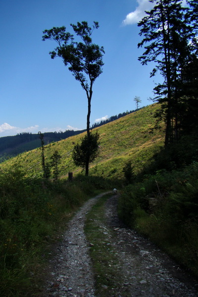 Pod Muráňom, sedlo Čertova hlava z Novoveskej Huty (Volovské vrchy)