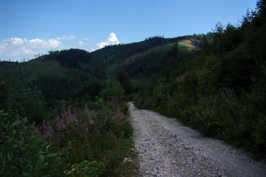 Pod Muráňom, sedlo Čertova hlava z Novoveskej Huty (Volovské vrchy)