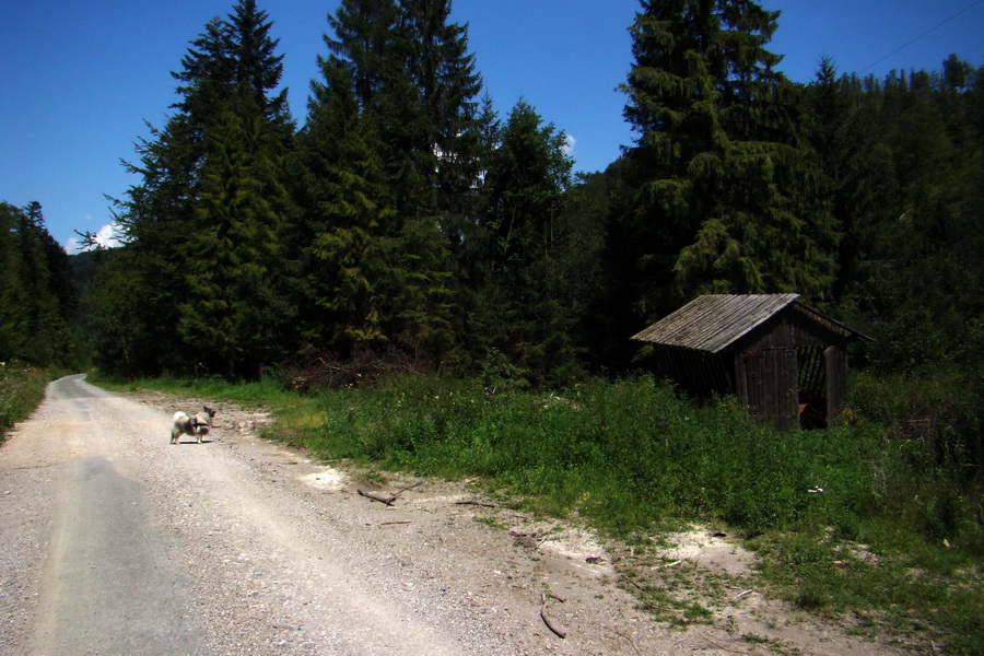 Pod Muráňom, sedlo Čertova hlava z Novoveskej Huty (Volovské vrchy)