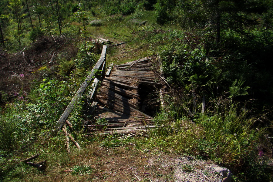 Pod Muráňom, sedlo Čertova hlava z Novoveskej Huty (Volovské vrchy)