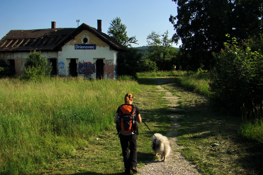 spustnutá vlaková stanica v Drienovci