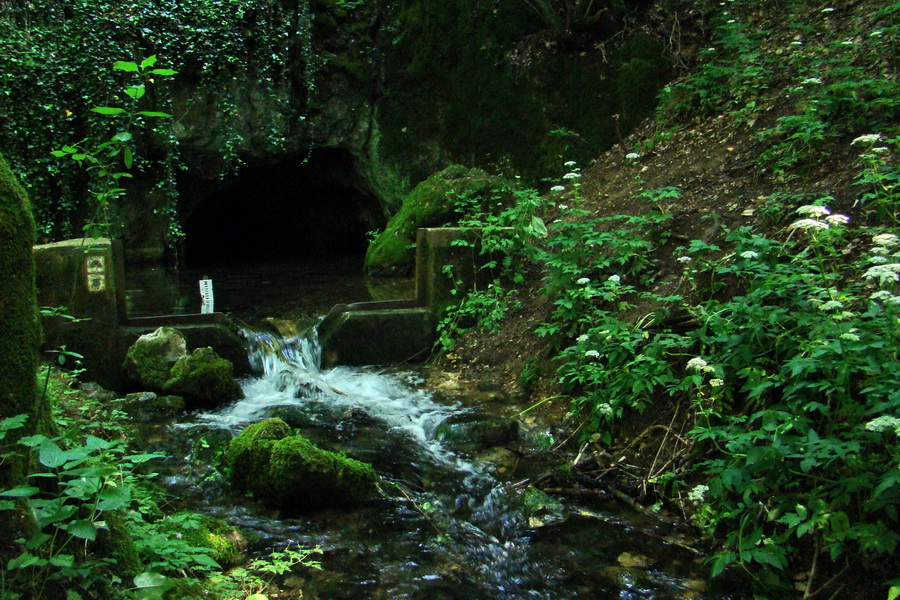 Drienovská jaskyňa je dlhá cca 1 348 m, je to významná chiropterologická lokalita, obývaná viacerými druhmi netopierov, boli tu objavené neolitické nálezy