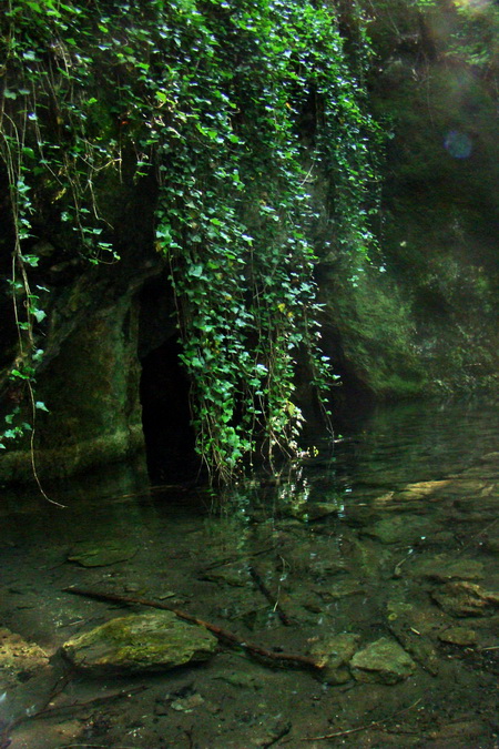 vchod Drienovskej jaskyne zarastá brečtanom