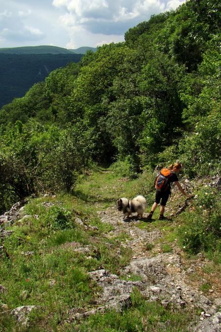 sedlo Železná brána z Drienova (Slovenský kras)