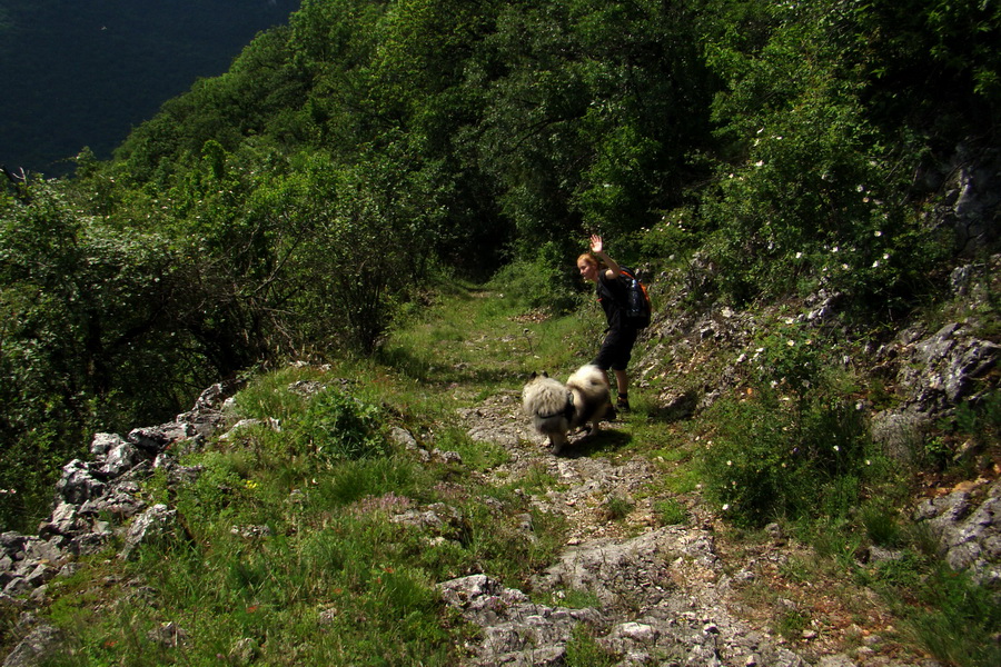 sedlo Železná brána z Drienova (Slovenský kras)