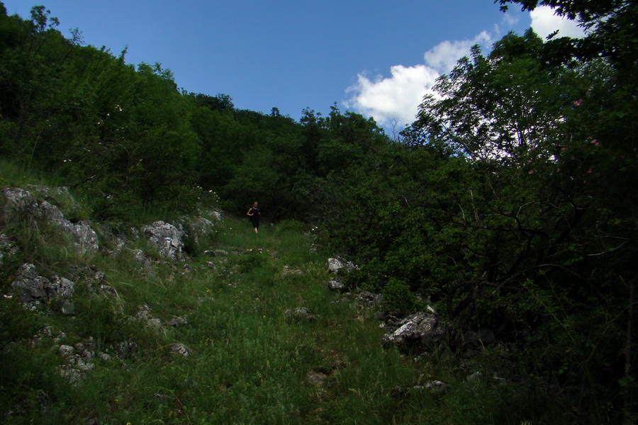 sedlo Železná brána z Drienova (Slovenský kras)