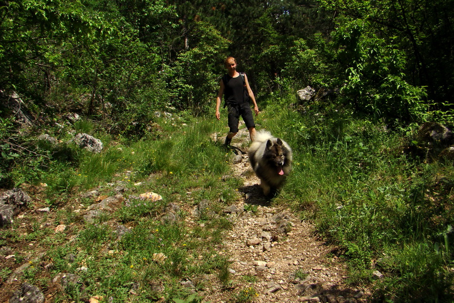 sedlo Železná brána z Drienova (Slovenský kras)