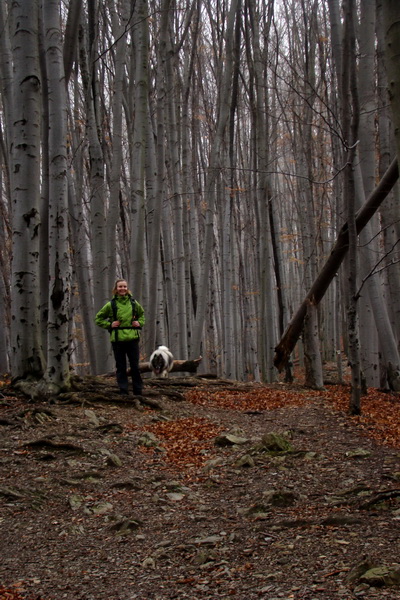 Zuzanka s Atim v hustom bukovom lese