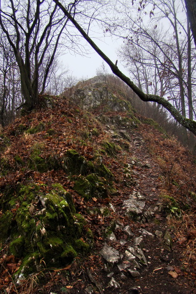 skalnatý chodníček na hrebeni