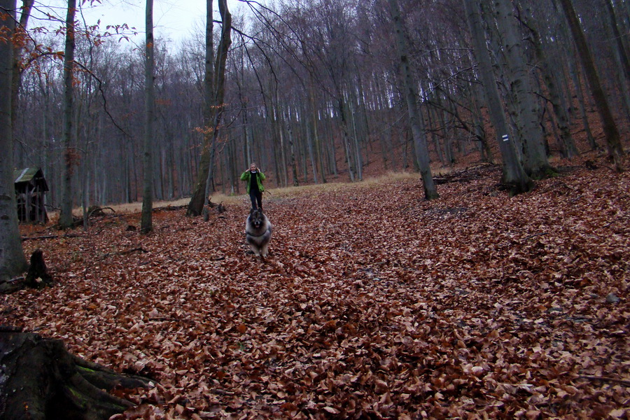 pokračujeme do Veľkej Lodiny