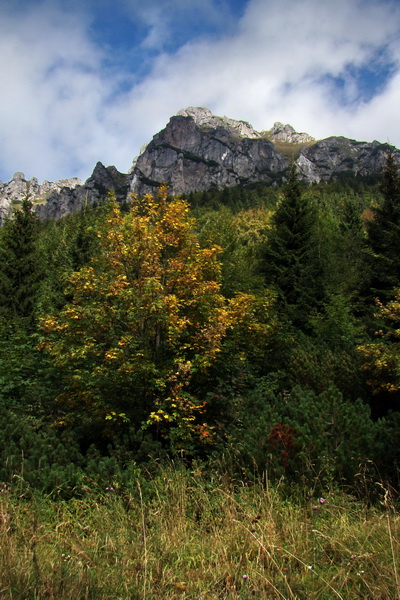 Veľký Rozsutec