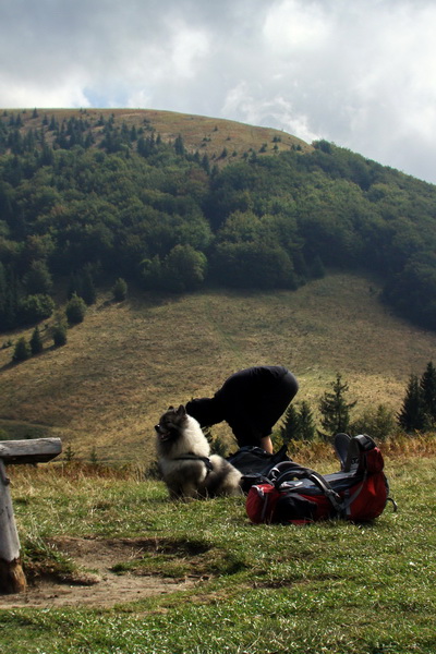 v sedle Medziholie, v pozadí Ostré