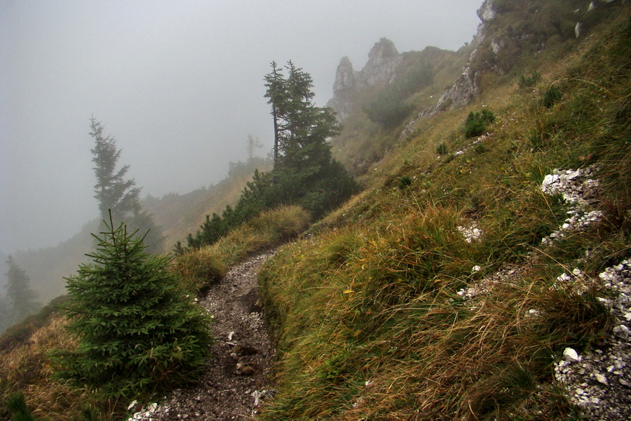 zostup do sedla Medzirozsutce