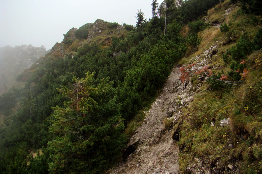 zostup do sedla Medzirozsutce