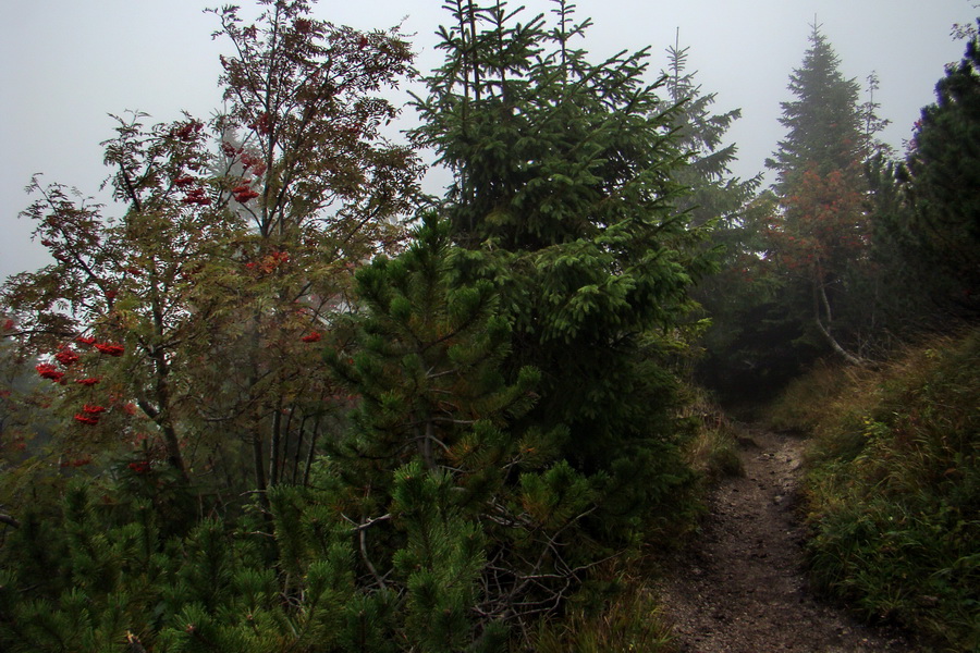 zostup do sedla Medzirozsutce