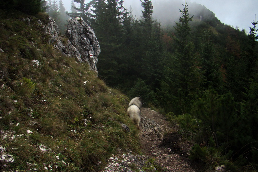 zostup do sedla Medzirozsutce