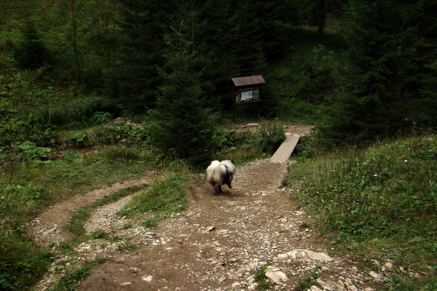 Zostupujeme k Ostrvnému